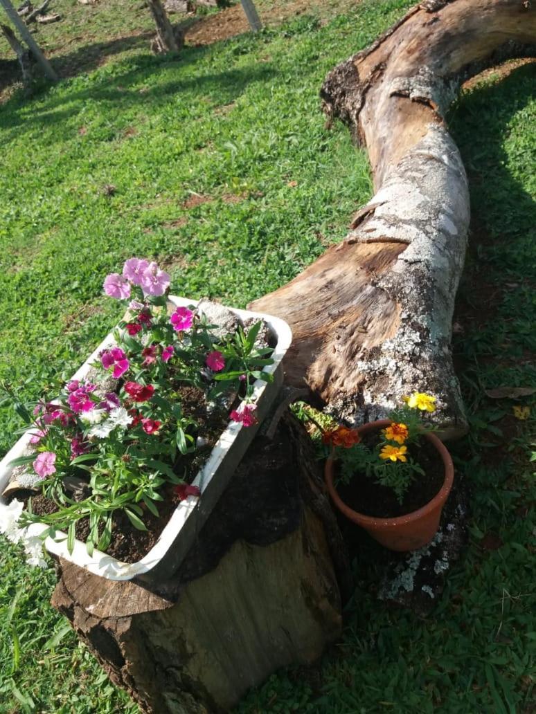 Pousada Dedo De Deus Paraisópolis Zewnętrze zdjęcie